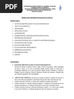 Modelo Informe Clinico Actualizado