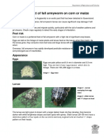 Potential Impact of Fall Armyworm On Corn or Maize: Pest Risk