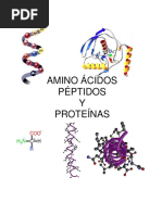 Unidadii Aminoacidos Peptidos Proteinas 21268 PDF