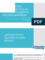 Presentacion Rehabilitacion Fisioterapeutica en Lesion de Ligamento Cruzado Anterior