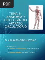 Sistema Circulatorio Ok