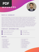 Faisal Maqbool: Profile Summary