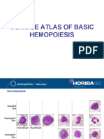 Concise Atlas of Basic Hemopoiesis