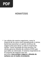 Clase No. 05 y 06 Presiones y Hematosis