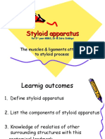 Styloidapparatus