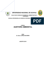 Auditoria Ambiental 2019 PDF