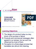 5 Perception: Consumer Behavior, 11E