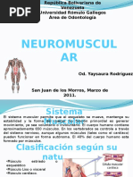 Tema 2-Neuromuscular