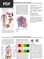 Grado 7 CIRCULACION Guia