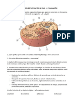 Actividades Recuperación 3º ESO - 1 Eval.