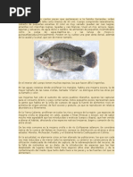 Mojarra