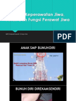 Trend Isu Keperawatan Jiwa, Peran Dan Fungsi