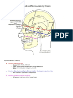 1 - Head and Neck Anatomy Review Lite