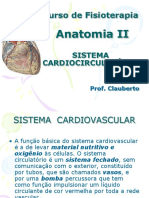 Anatomia Coração PDF