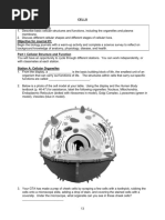 Cells Objectives For Exam #1