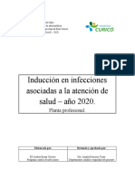 Documento Inducción IAAS (PROFESIONALES) - Año 2020