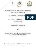 PDF Documento