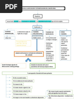 Mapa Conceptual Cancer Clacificación y Estratifacación