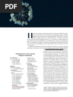 Filum Rotifera-Brusca Et Al., 2019