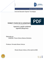 Pizano Gómez Mariana Estefanía - Iga PDF