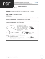 TRABAJO PRÁCTICO N°2,, Practica Docente