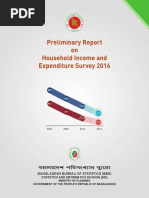 Preliminary Report On Household Income A PDF