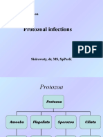 Protozoal Infections 29 April 2013