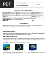 CIRCULACIÓN