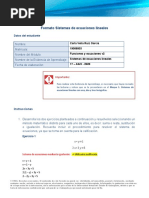 Ruiz - Carla - Sistema de Ecuaciones Lineales