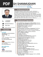 Resume-Chief Rig Electrician