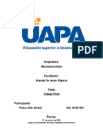 Trabajo Final Neuropsicologia