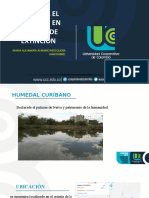 Humedal El Curíbano en Peligro de Extinción