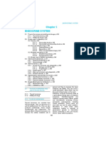 05 Chapter Endrocrine System