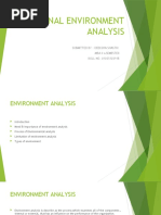 External Environment Analysis