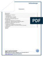 Rapport de Stage 1ère Année PDF