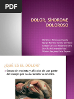 Dolorysindromedoloroso 120311134418 Phpapp01