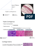 Presentación Tejido Cartilaginoso 2020