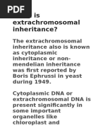 What Is Extrachromosomal Inheritance