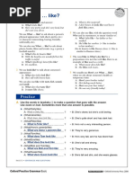 What ... Like - Worksheet RESUELTO