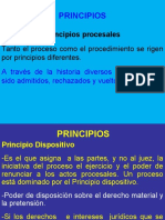 Principios Procesales