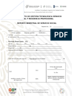 Formato de Reporte Bimestral de Servicio Social