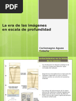 La Era de Las Imágenes en Escala