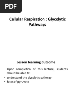 Cellular Respiration: Glycolytic Pathways