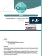 Resumen Perfil, Parámetros e Indicadores para Docentes y Técnicos Docentes