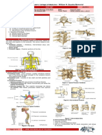 St. Luke's College of Medicine - William H. Quasha Memorial: Anatomy