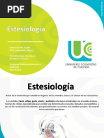 EstesiologiaR PDF