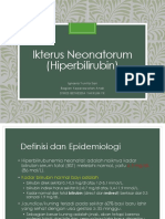 Hiperbilirubin 2020