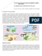 Adaptaciones Del Sistema Respiratorio