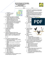 Evaluacion Mañana 3