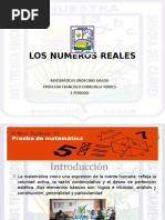 1 Los Numeros Reales.